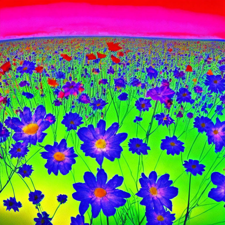 Vibrant thermal imaging field of flowers with gradient sky