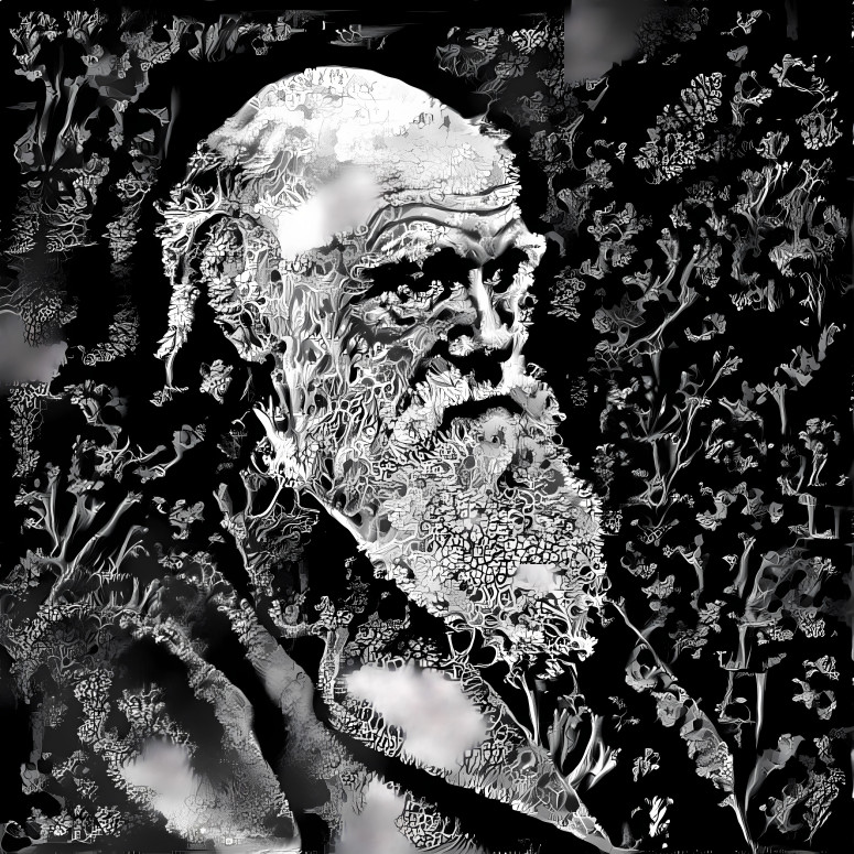 Darwin x Haeckel