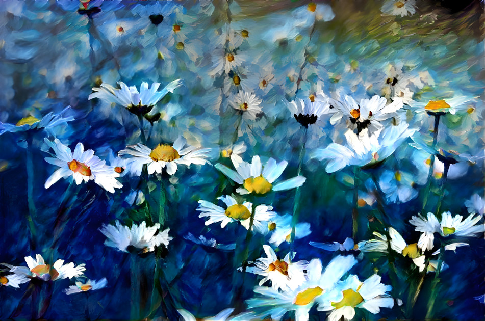 Daisies Field as an Impressionist Painting.