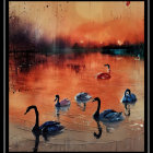 Tranquil Sunset Scene: Five Swans on Vibrant Lake