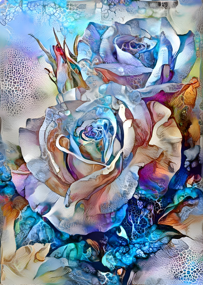 kaleidoscope rose