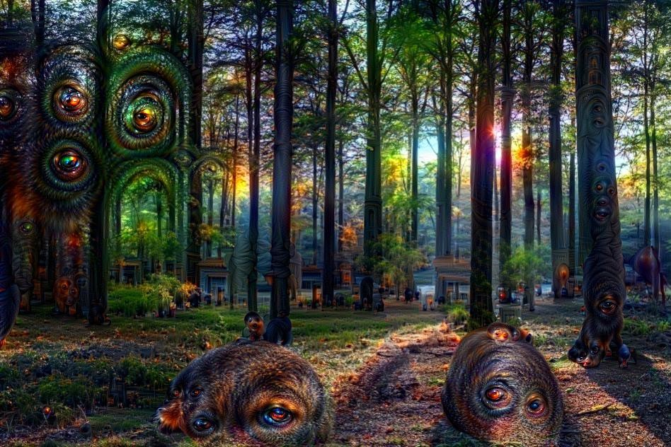 LSD forest