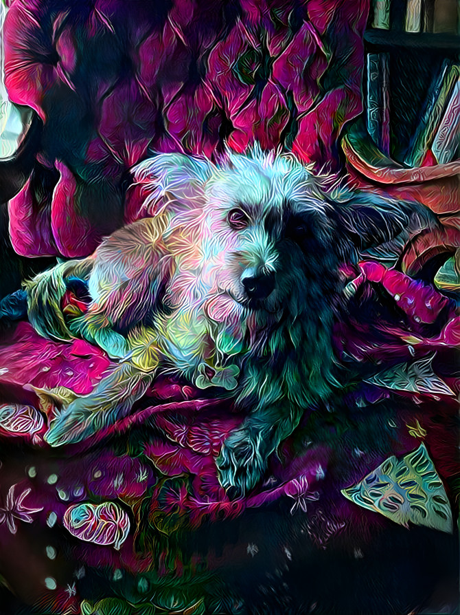 A Labyrinthine Creature