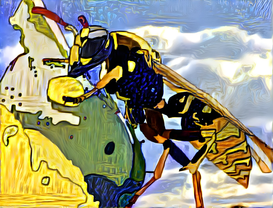 Wasp Snackin 