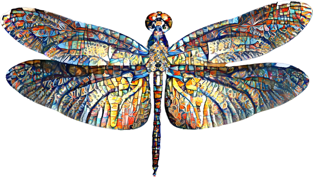 Quilted Dragonfly