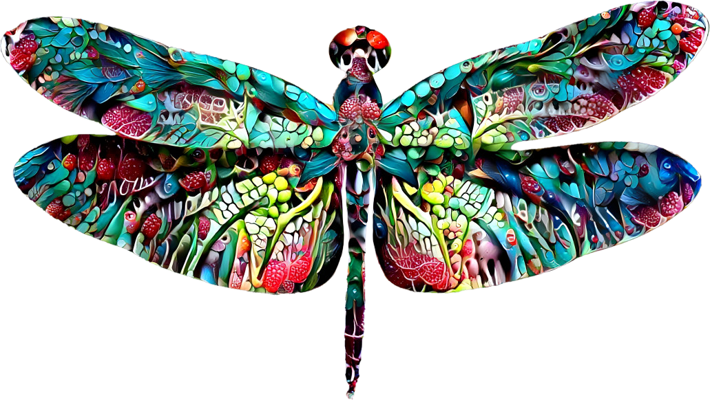 Jewelry Dragonfly