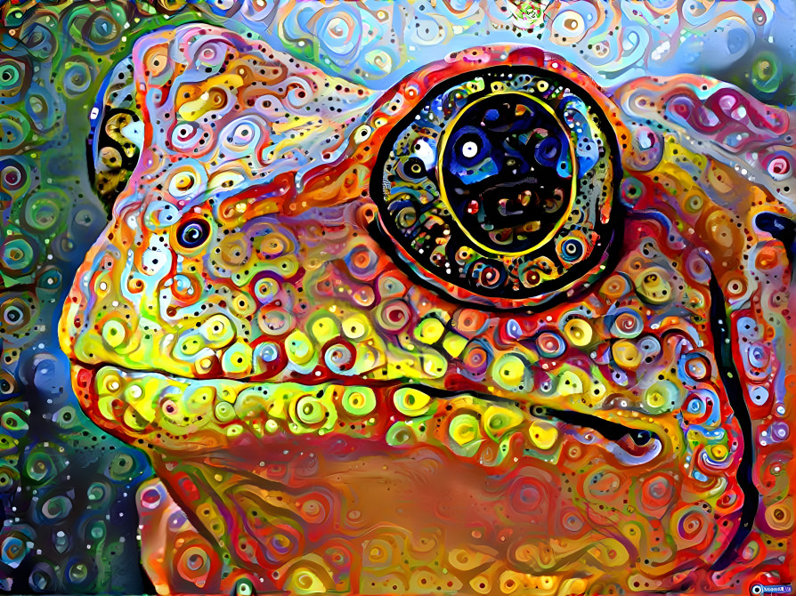 Phychedelic Frog