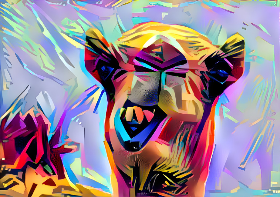 colorful camel