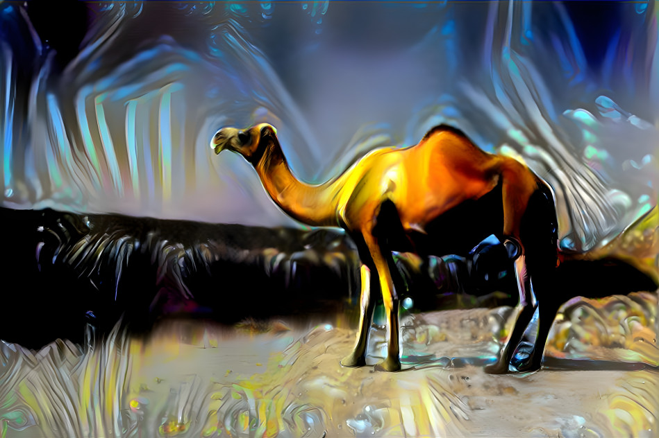light camel
