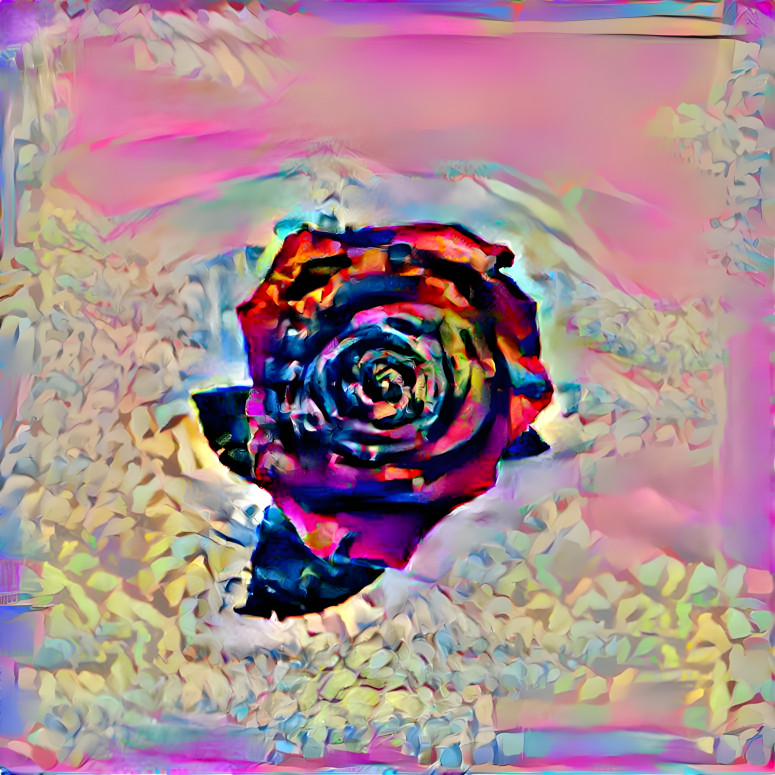 Nuclear Rose