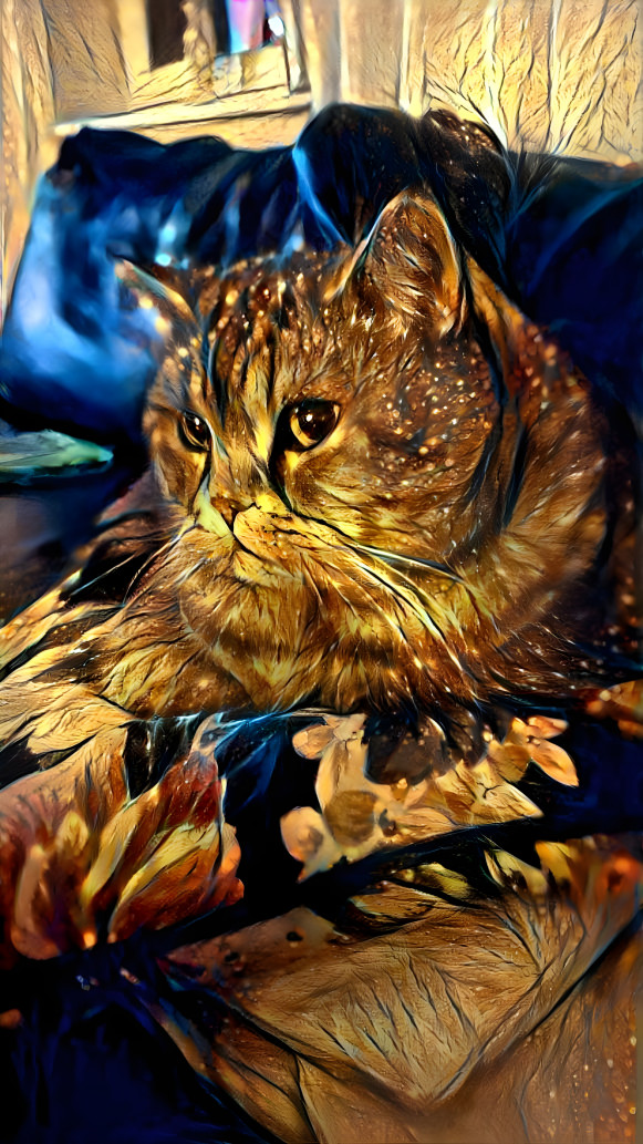 The golden cat