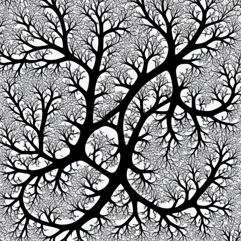 Monochromatic image of intricate black tree branches on white background