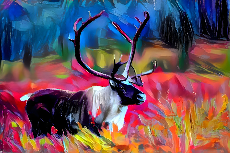 Caribou in the Field