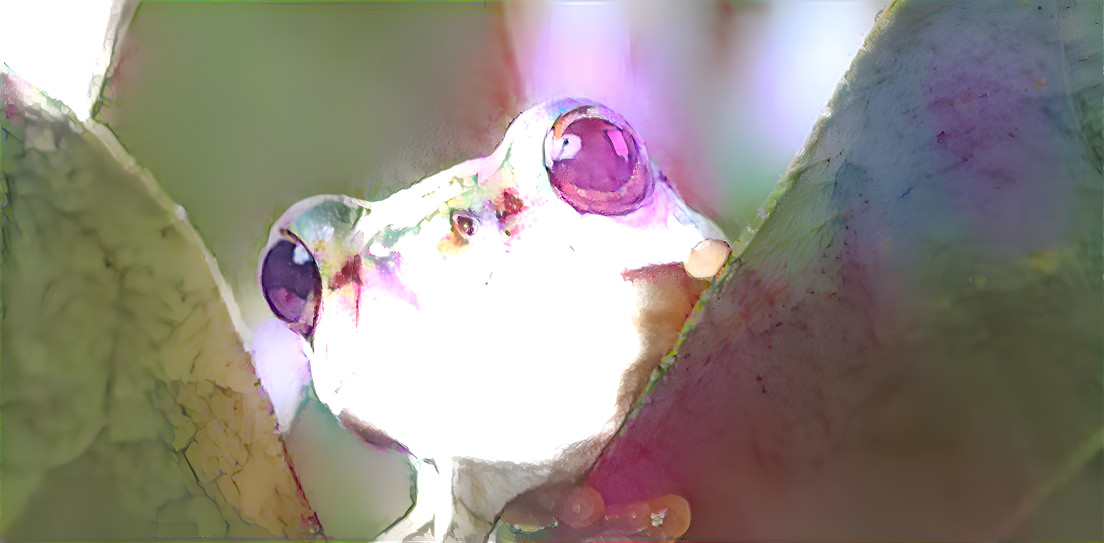 Glowing Frog?