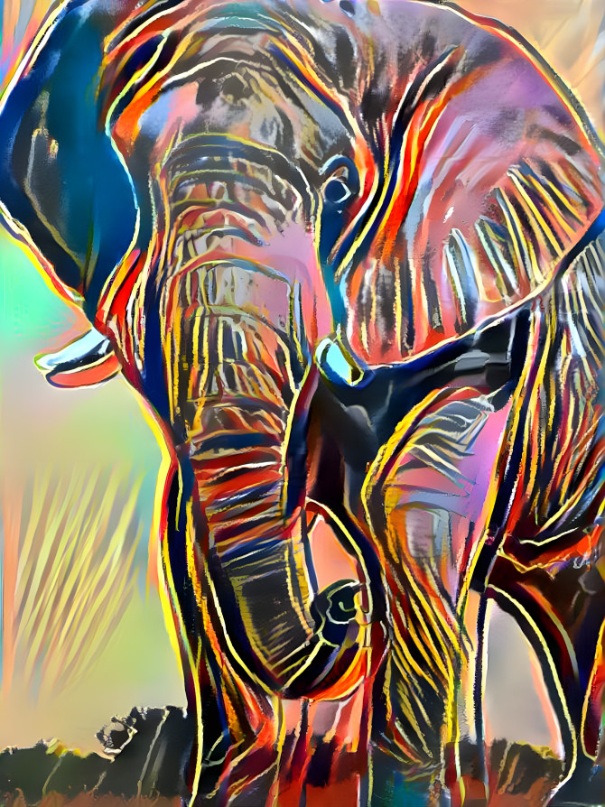 Warhol Elephant x Zebra