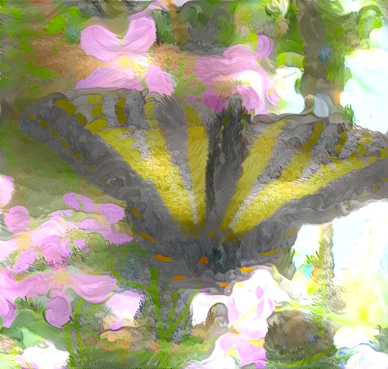Watered Butterfly