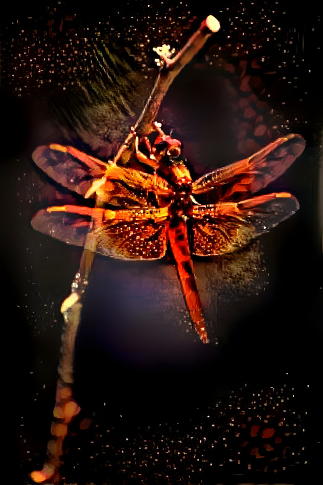 Fire Dragonfly 