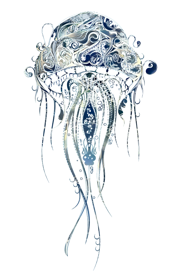 La méduse de ver