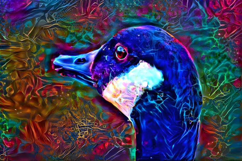 Acid goose