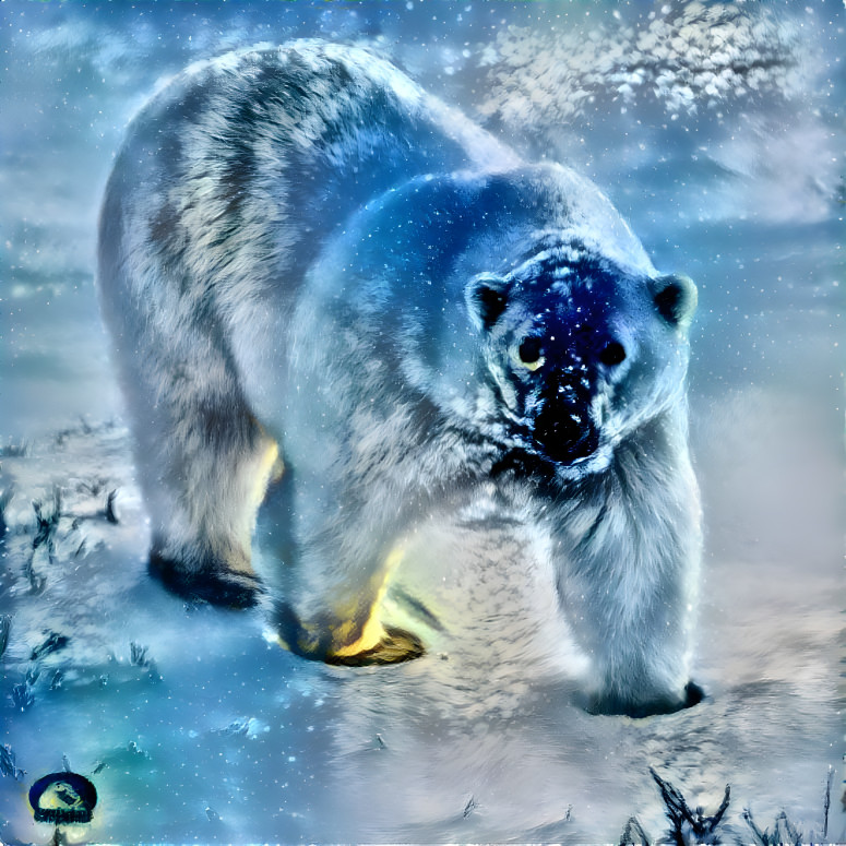 winter polar bear