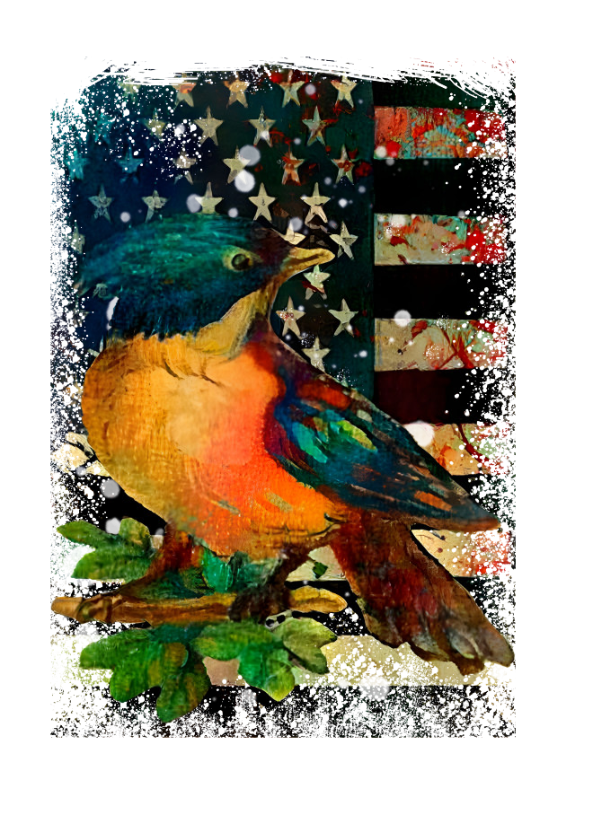 The Bird Whisperer Vintage American Flag