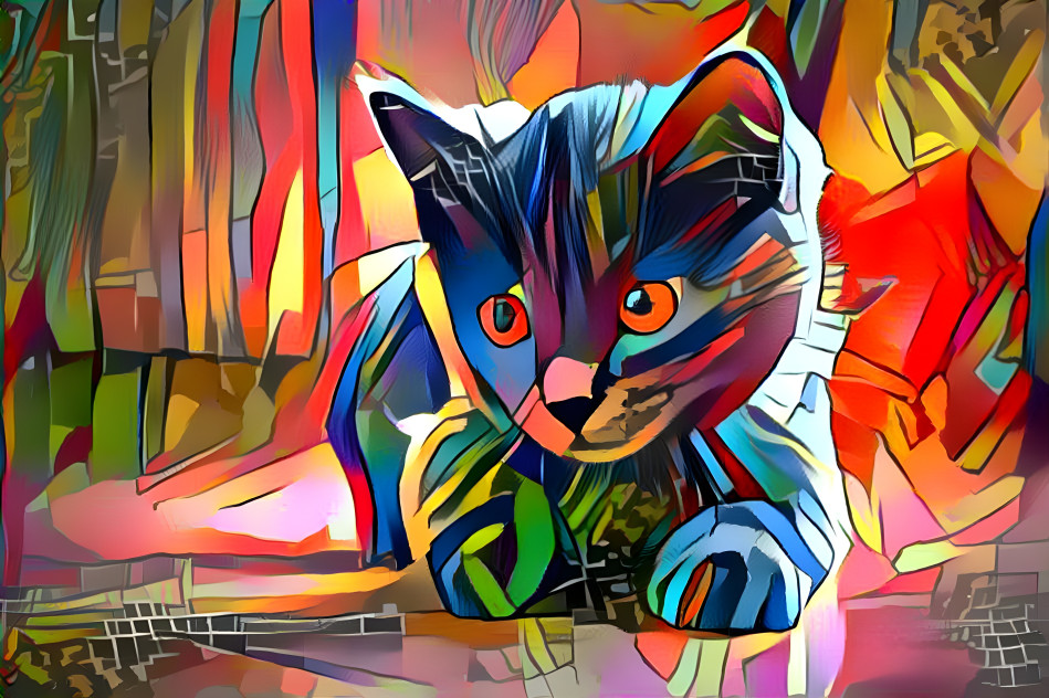 Arthouse Kitten