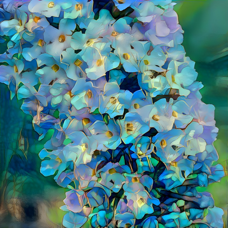 Butterfly bush transformed into a hydrangea