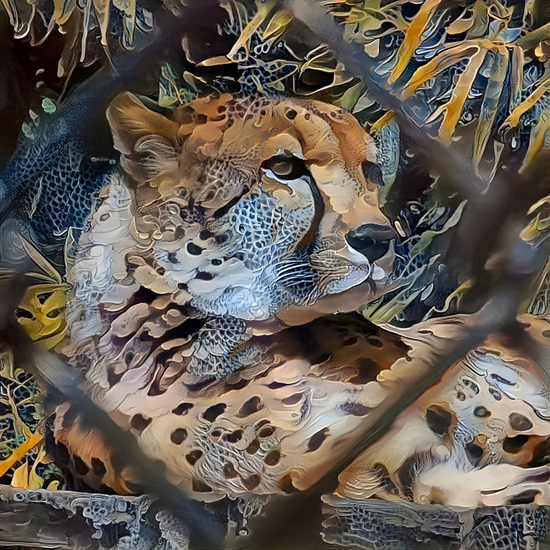 Cheetah serenity