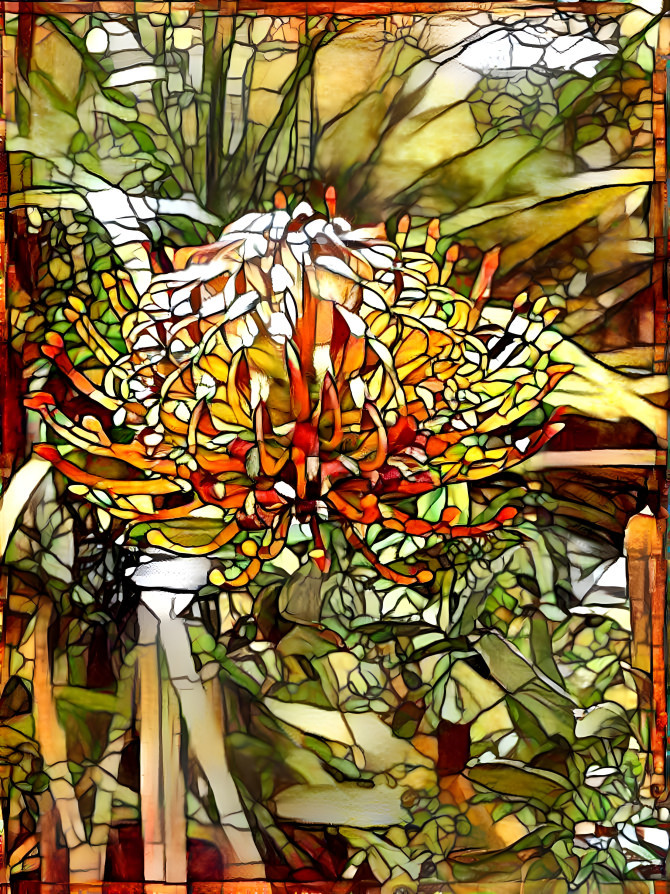 Mosaic protea