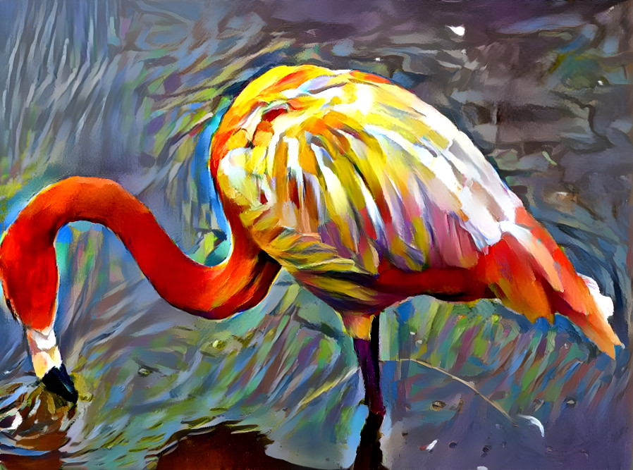Colorful Flamingo 