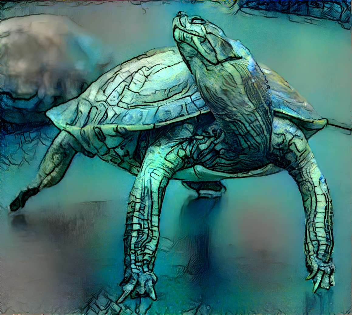 Turtle ballet