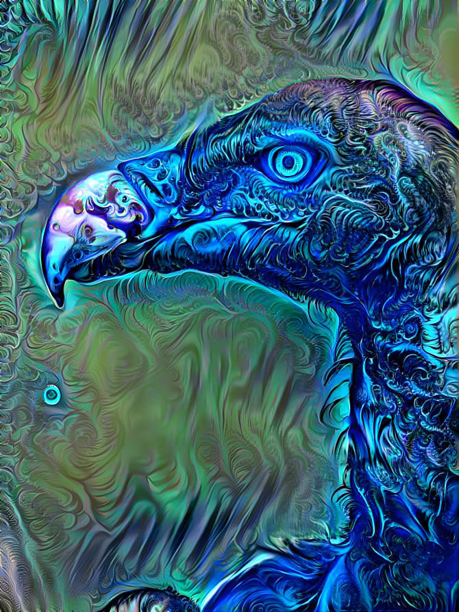 Lysergic Vulture