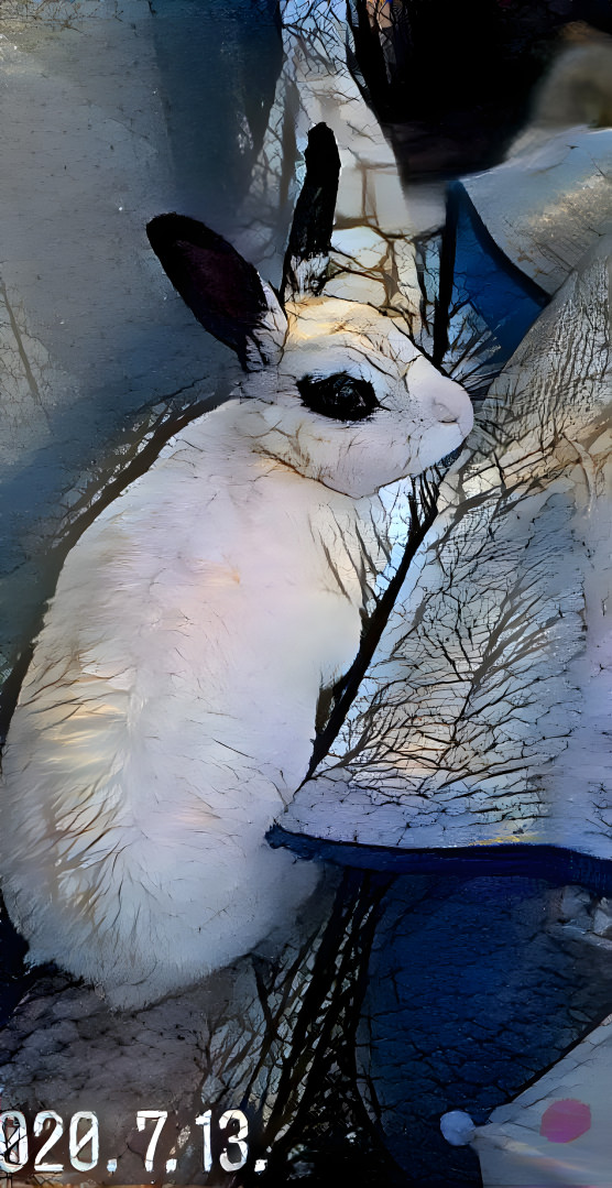 Ma rabbit with winter trees