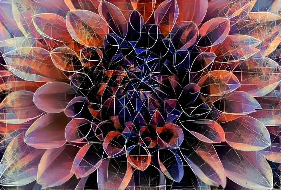 Floral Geometry