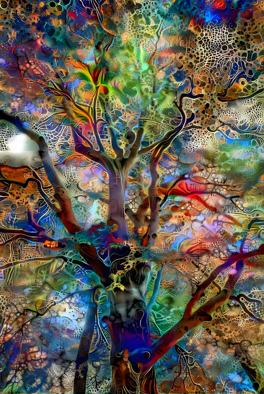 Dream Tree 2