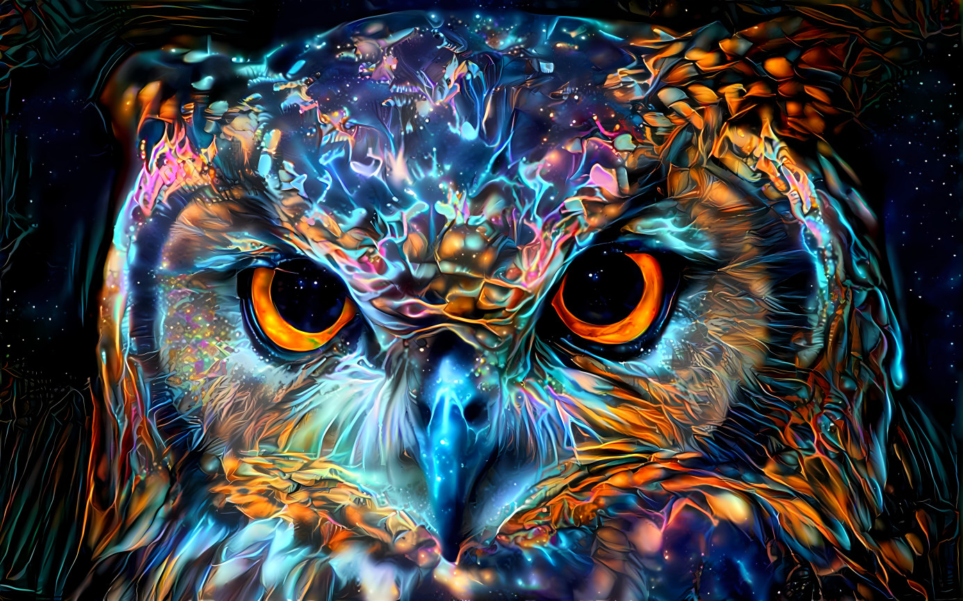Dream Owl 4