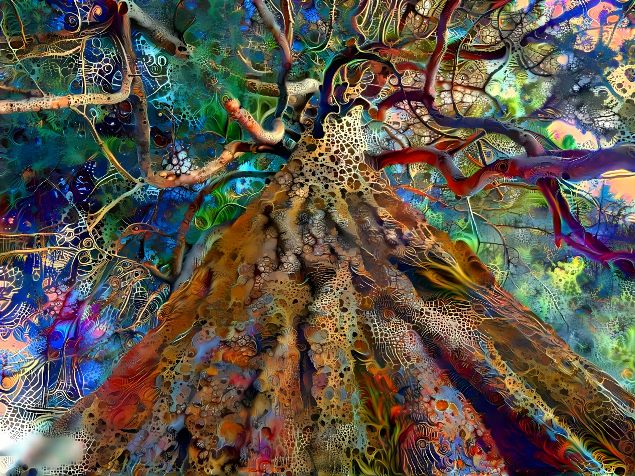 Dream Tree