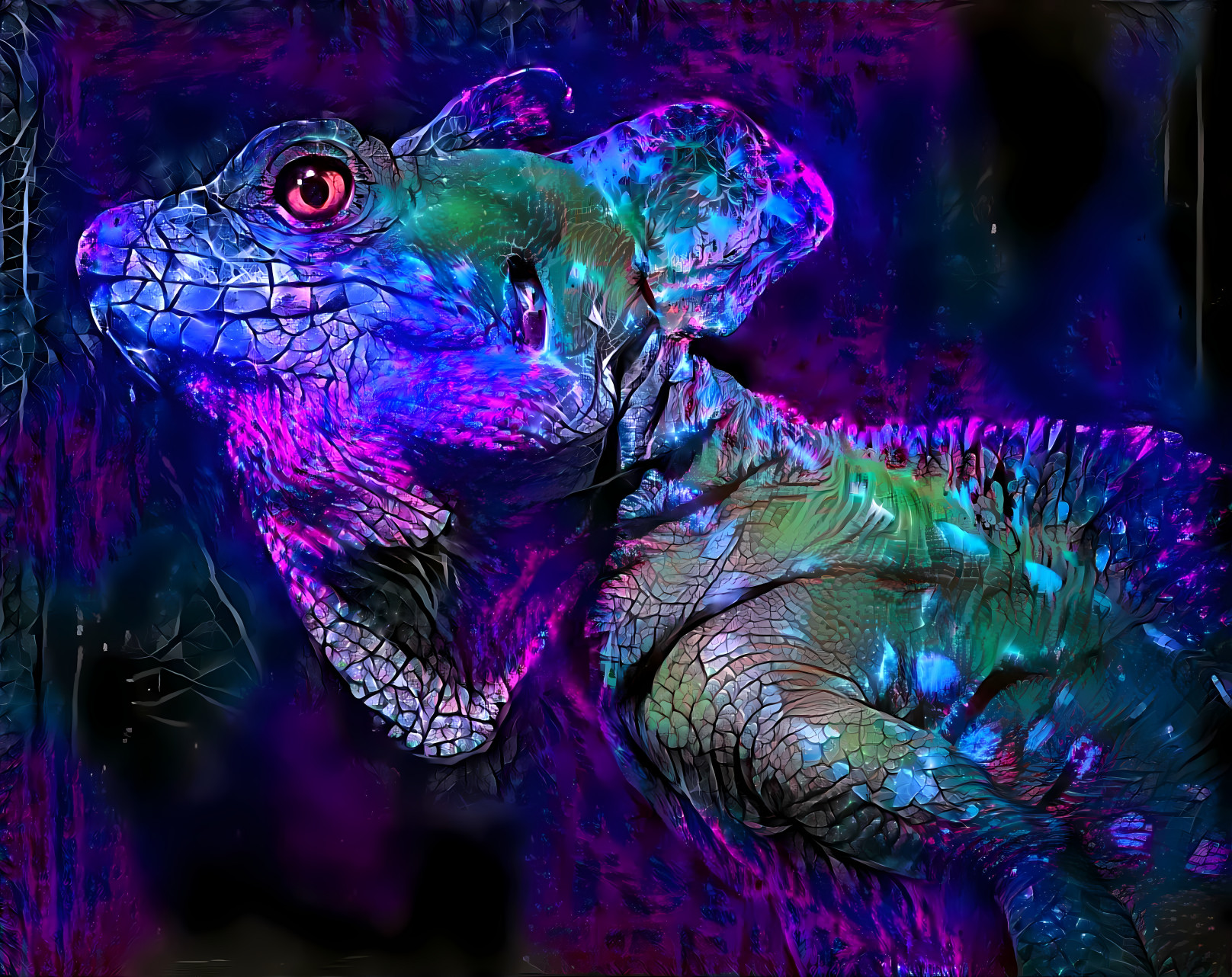 Dream Lizard 11 v2