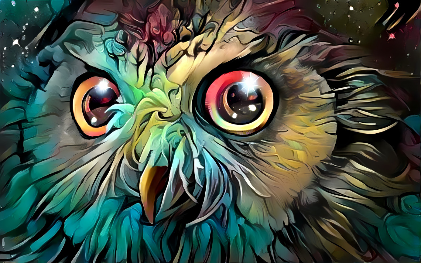 Dream Owl 2