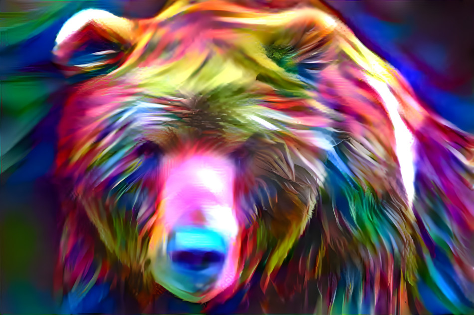 rainbow bear