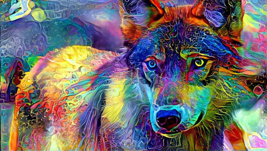 wolf of color