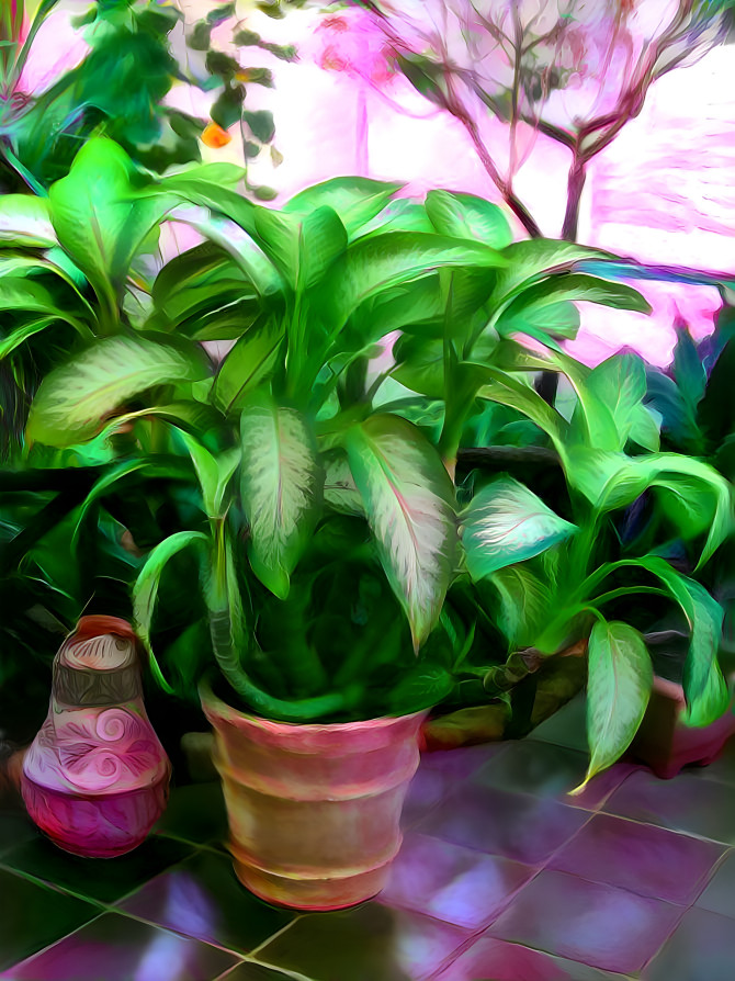 "Potted Tropical Plants" version 2