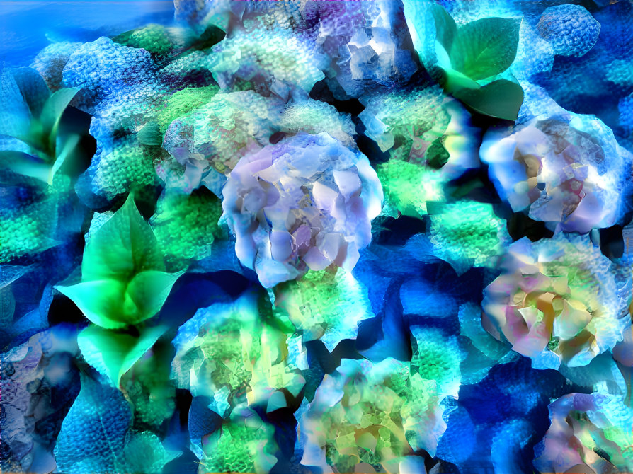 "Hydrangea in Cool Colors"