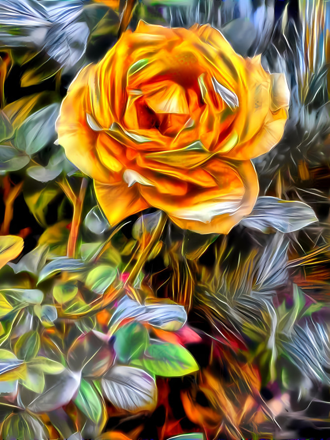 Yellow Rose, Descanso Gardens