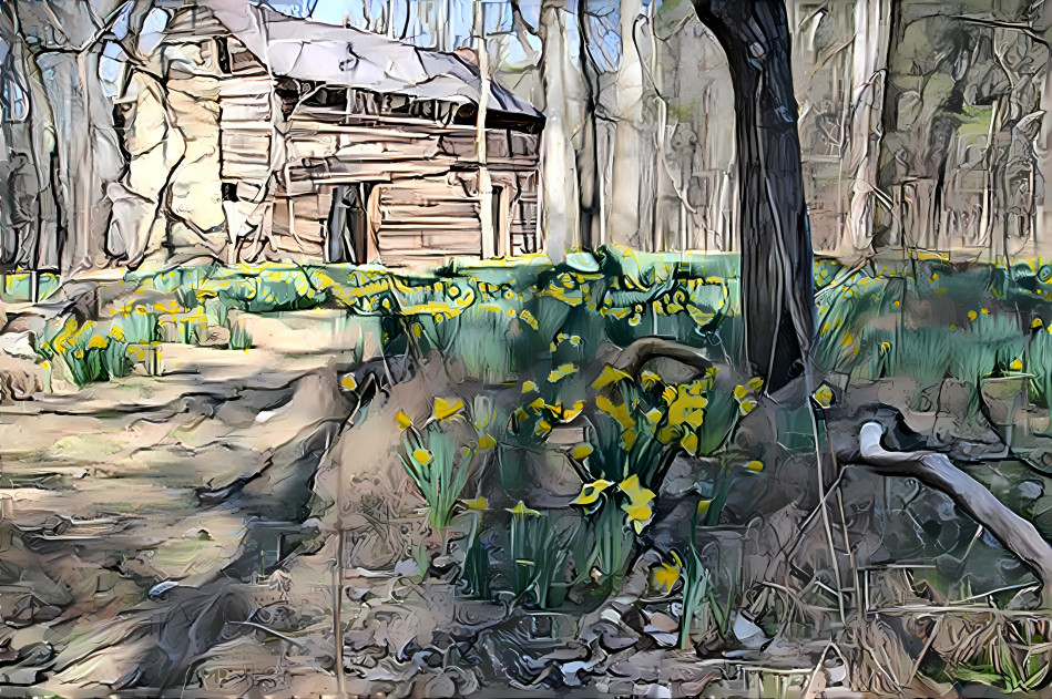 Daffodils and Cabin in the Forest