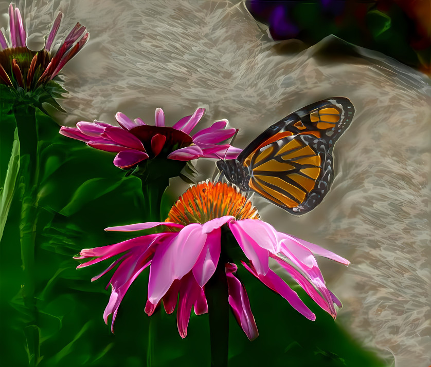 Cone Flowers and Monarch Butterfly