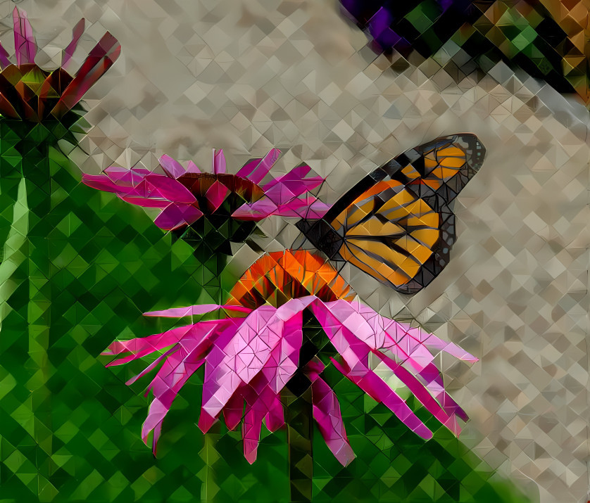 Monarch Butterfly on Cone Flowers