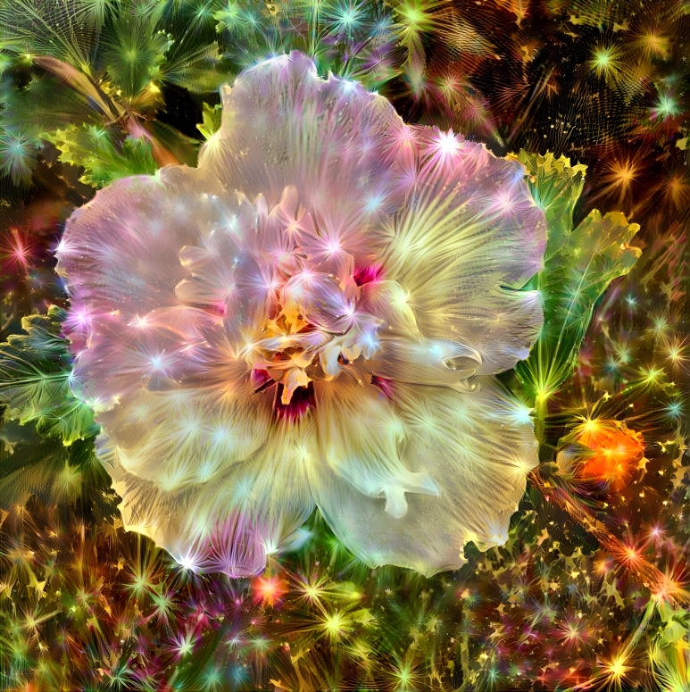 Sparkly rose of Sharon 