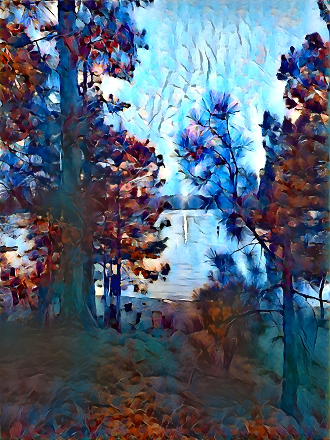 Through the trees