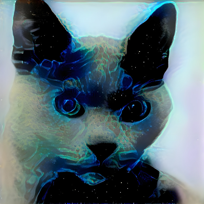 Psycadellic cat